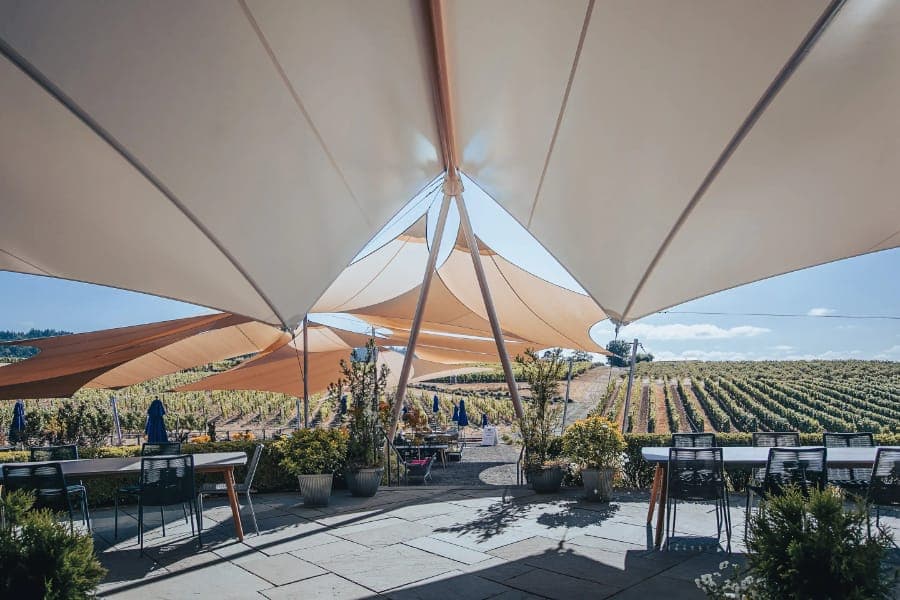 Adelsheim Vineyard